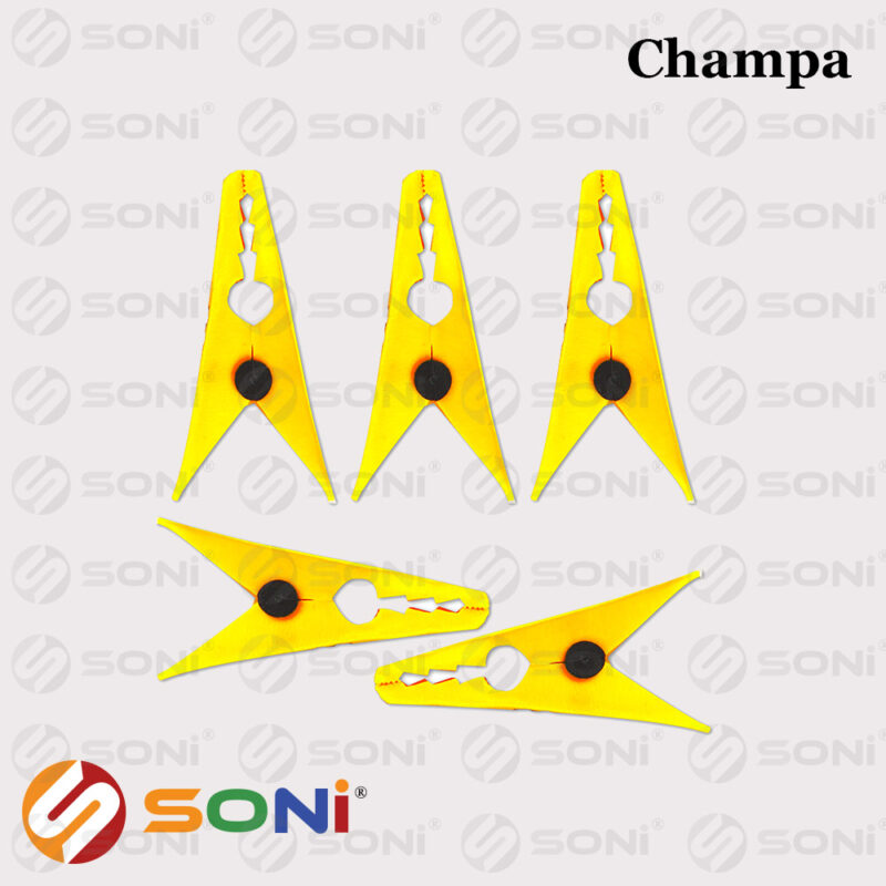 Champa - Image 3