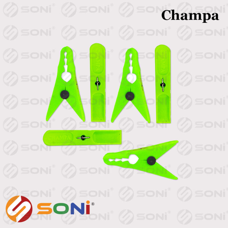 Champa - Image 5