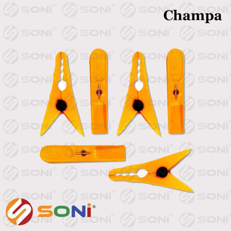 Champa - Image 8